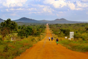  Three people walk along an otherwise empty road of red soil embedded in a lush green vegetation