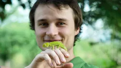 Thinking green Visual