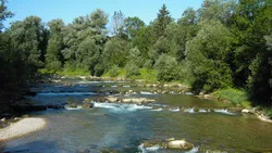 The Mangfall bend lined with lush greenery on each bank