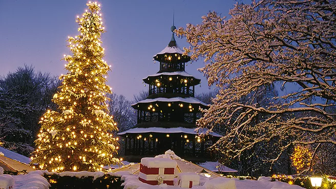 Beautifully lit Christmas tree next to the Chinesische Turm in Munich's English Garden 
