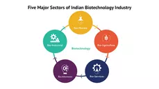 Die wichtigsten Segmente des erfolgreichen Biotech-Sektors in Indien: Biopharma, Bio-Agriculture, Bio-Industrial und Bio-Services. Bild: Screenshot <a href="https://marketinsight.in/industry-reports/biotechnology-industry-growth-in-india" target="_blank">www.marketinsight.in</a>