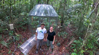 Prof. David Lapola and Prof. Anja Rammig during their work in the Amazon