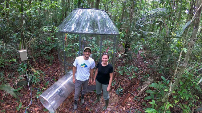 Prof. David Lapola und Prof. Anja Rammig während der Arbeit im Amazonas