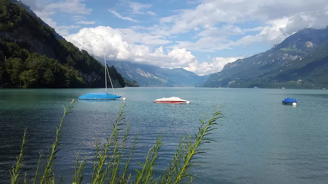 View of Lake Zurich