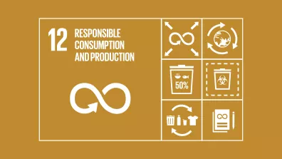 The UN’s icon for circular economy