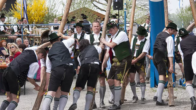 Men dressed in traditional Bavarian garb at maypole erecting ceremony