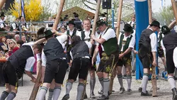 Men dressed in traditional Bavarian garb at maypole erecting ceremony