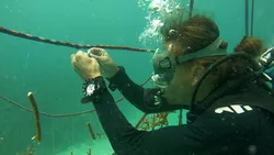Christopher Chvalina in Tauchausrüstung unter Wasser