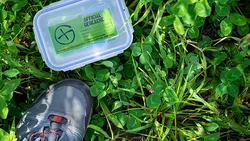 Geocache im Gras