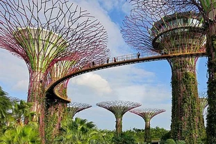 Huge steel sequoias are home to enclaves of exotic orchids, ferns and bromeliads in the midst of Singapore.