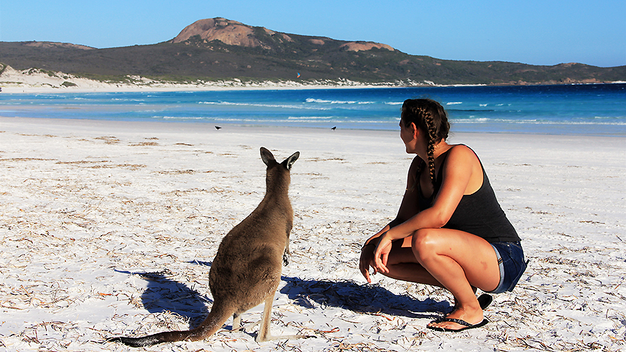 Young woman and kangaroo watch the sea