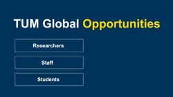 TUM Global Opportunities Visual