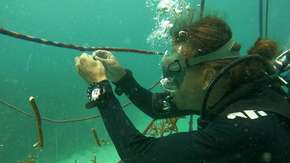 Christopher Chvalina in scuba gear under water