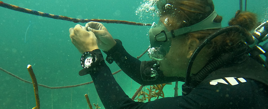 Christopher Chvalina in Tauchausrüstung unter Wasser