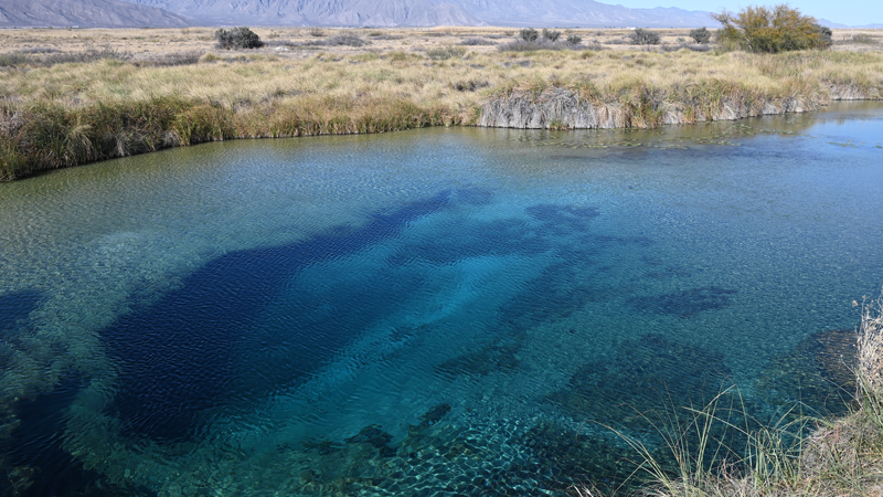 Turquoise blue oasis in the arid landscape of the nature reserve