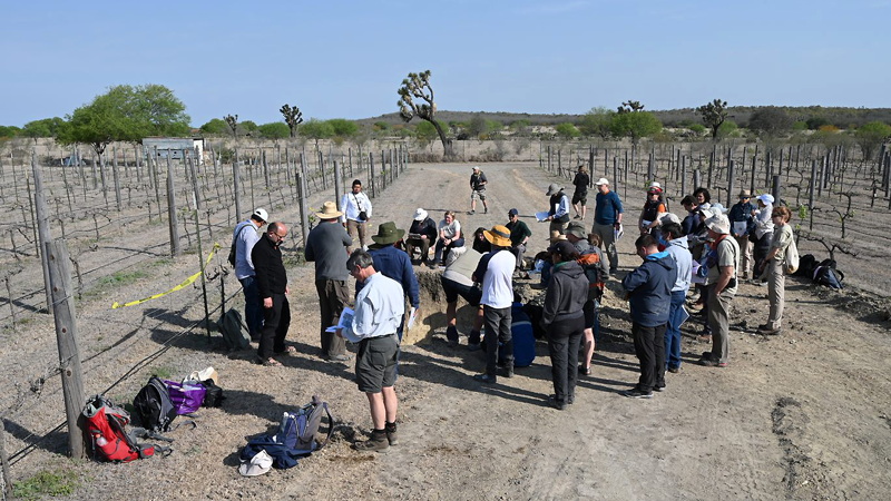 The research group during soil analysis