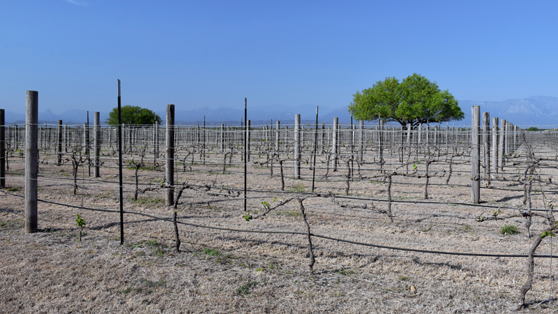 Dry farmland