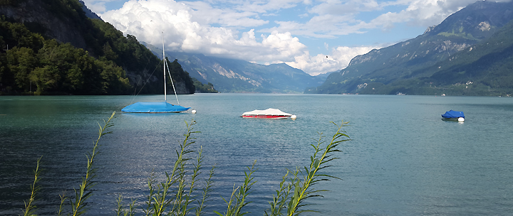 Praktika in der Schweiz mit dem Swiss-European Mobility Programme