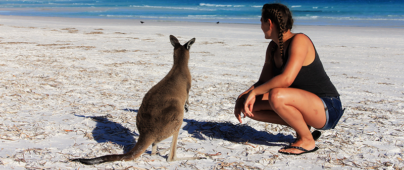 Junge Frau und Känguru am Strand