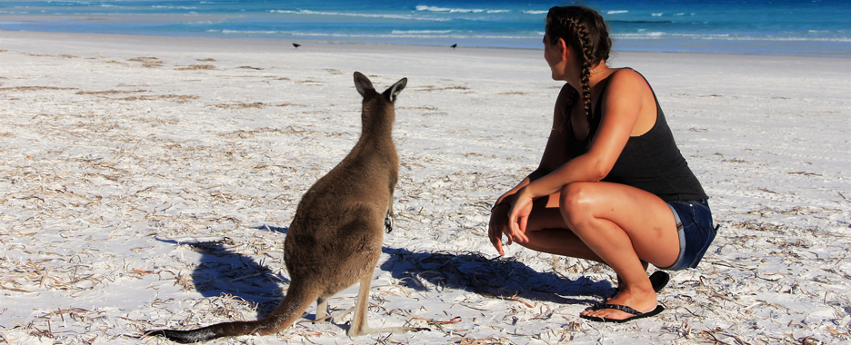 Junge Frau und Känguru am Strand